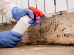 Best Real Estate Mold Inspection  in Greenfield, TN